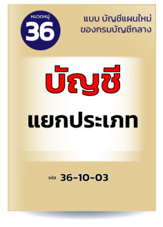 บัญชีแยกประเภท
