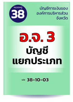 อ.จ. 3 บัญชีแยกประเภท